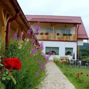 cazare cu tichete de vacanta la Pensiunea Poezii Alese - Valea Draganului