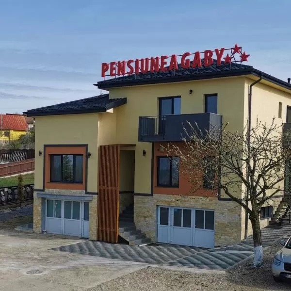 cazare cu tichete de vacanta la Pensiunea Gaby - Cluj Napoca