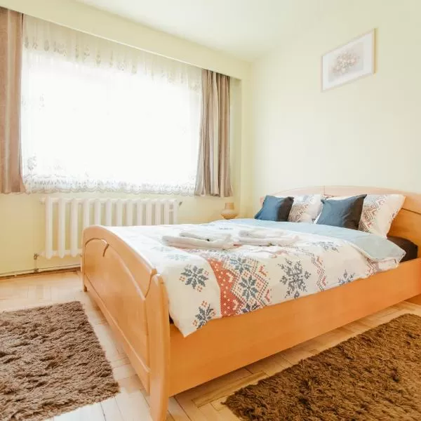 cazare cu tichete de vacanta la Rex’s Premium Apartment - Baia Mare