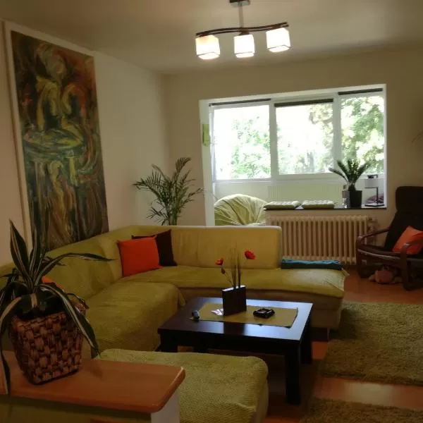 cazare cu tichete de vacanta la Green Apartment - Odorheiu Secuiesc