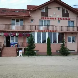 cazare cu tichete de vacanta la Pension Rozeclas - Oradea