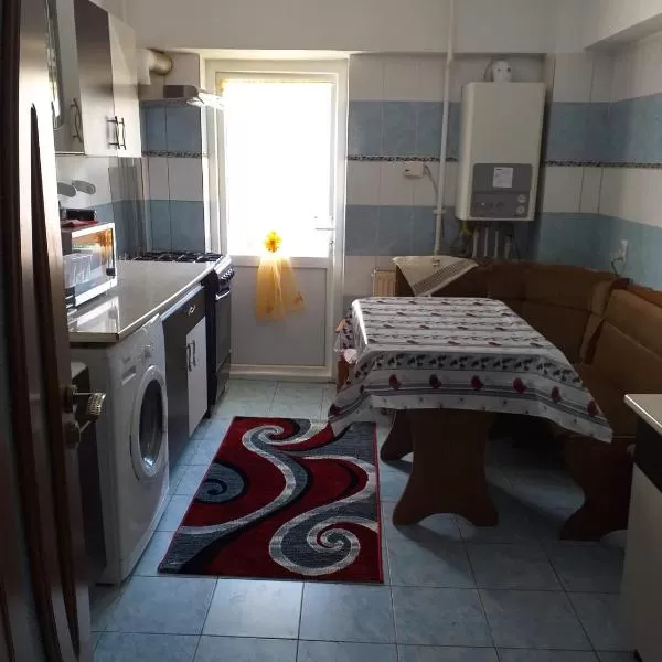 cazare cu tichete de vacanta la Apartament Maria - Slanic Moldova
