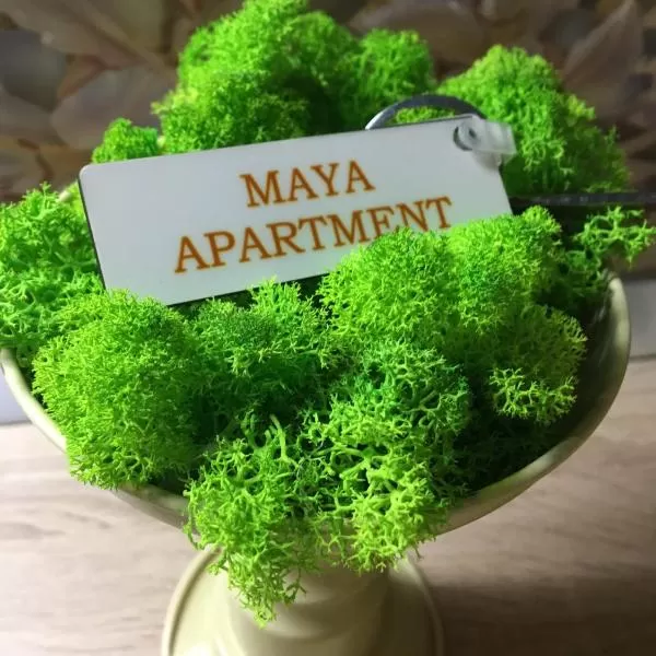 cazare cu tichete de vacanta la Maya Apartment - Cluj Napoca