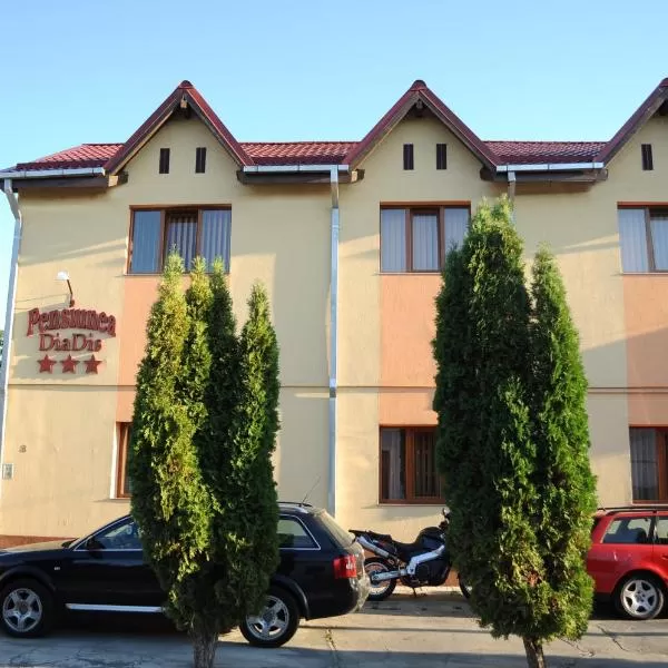 cazare cu tichete de vacanta la Pensiunea Diadis - Cluj Napoca