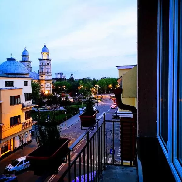 cazare cu tichete de vacanta la Bulevard Apartments - Satu Mare