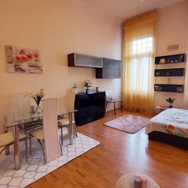 cazare cu tichete de vacanta la Opera Residence - Ultracentral Cozy Accommodation - Timisoara