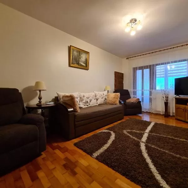 cazare cu tichete de vacanta la Apartament Bogdan - Gura Humorului