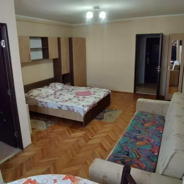cazare cu tichete de vacanta la Flora Apartament - Satu Mare