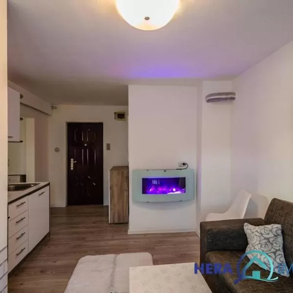 cazare cu tichete de vacanta la Apartament Living + Dormitor - Arad