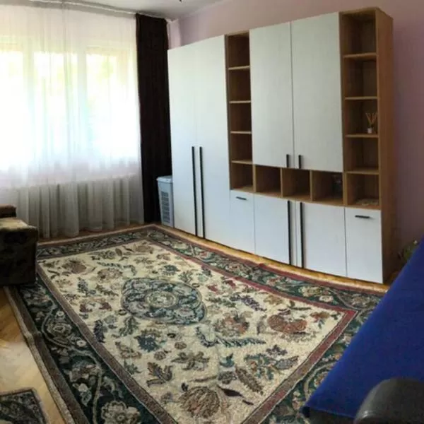 cazare cu tichete de vacanta la Apartament 2 Dormitoare Oradea - Oradea