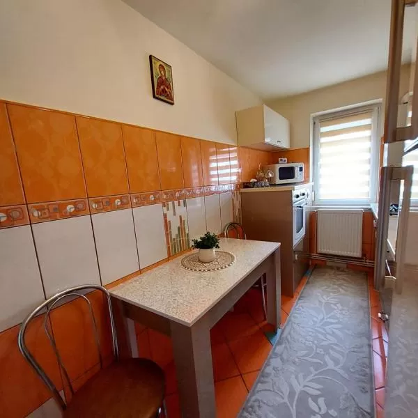 cazare cu tichete de vacanta la Apartament Akim - Targu Ocna