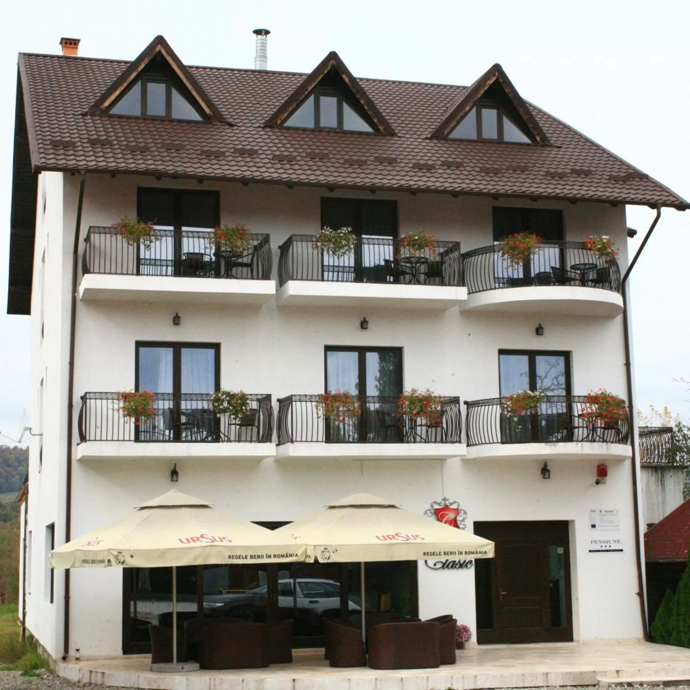 Pensiunea Clasic