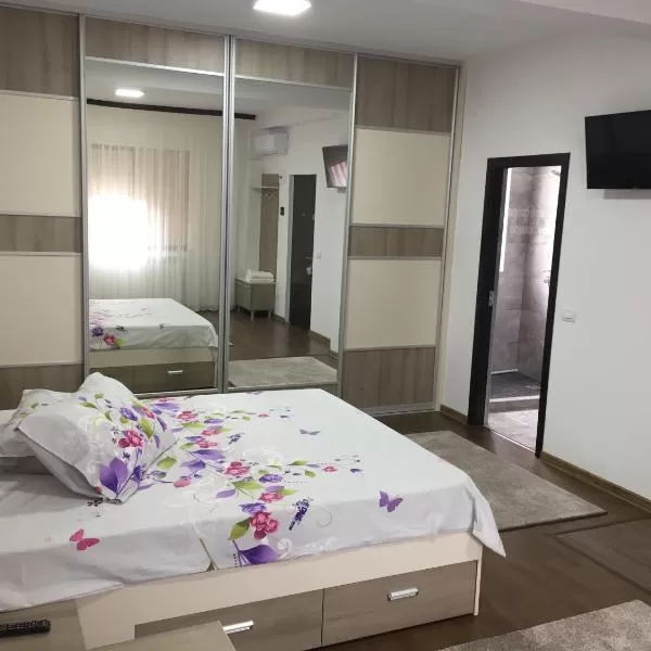 Pensiunea Vlh Mansion