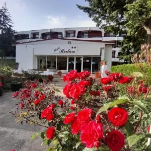 Hotel Rodica