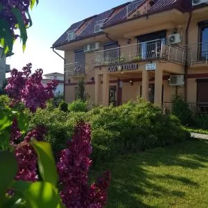 Pensiunea Casa Leului